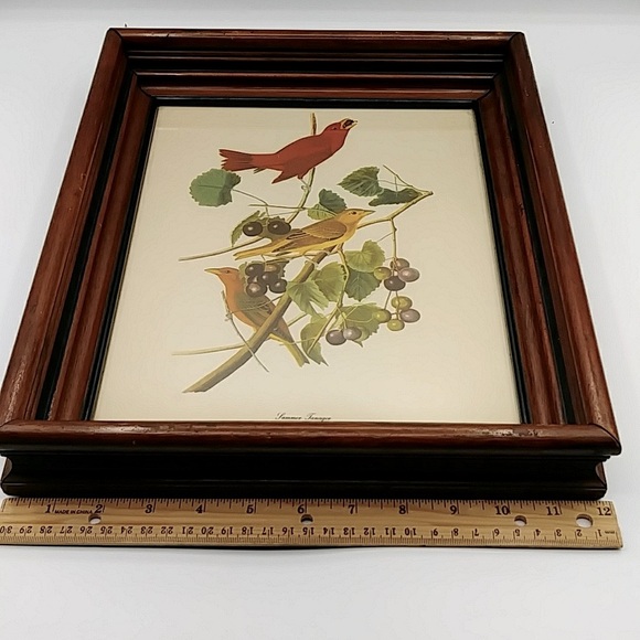 🌹HP! Antique Walnut Frame with Audubon Tanager Print - Picture 5 of 9